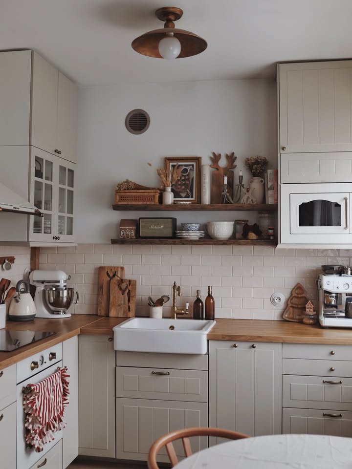 aesthetic kitchen counter organization idea featuring contemporary kitchen