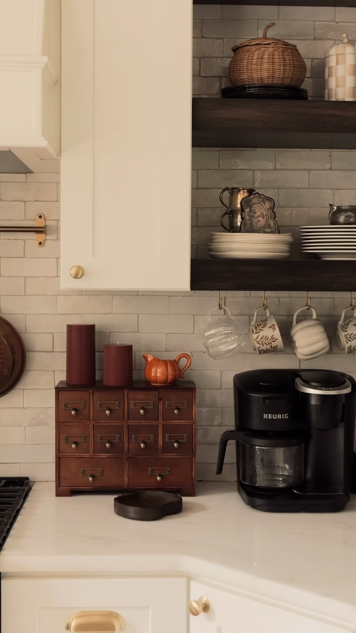 aesthetic kitchen counter organization idea featuring contemporary kitchen storage